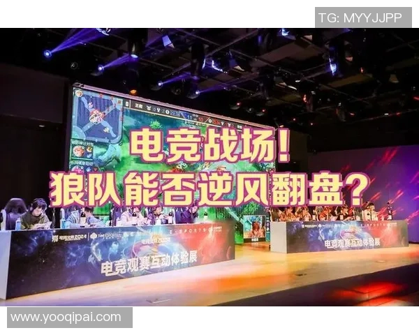 电竞比分热议EDG战队配合变革与战术创新的深度解析