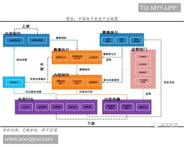 esports数据赛后复盘BLG与EDG的团队配合与战术分析探讨